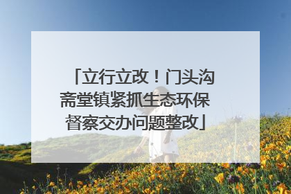 立行立改！门头沟斋堂镇紧抓生态环保督察交办问题整改