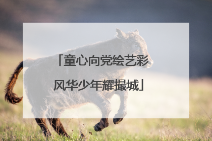 童心向党绘艺彩 风华少年耀撮城