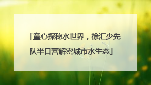 童心探秘水世界，徐汇少先队半日营解密城市水生态