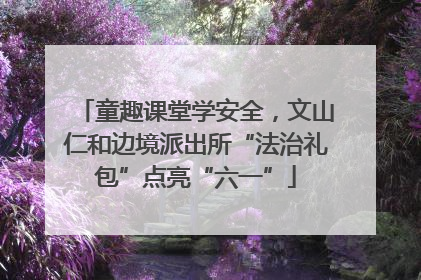 童趣课堂学安全，文山仁和边境派出所“法治礼包”点亮“六一”