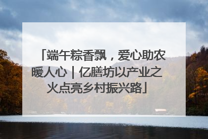 端午粽香飘，爱心助农暖人心｜亿膳坊以产业之火点亮乡村振兴路