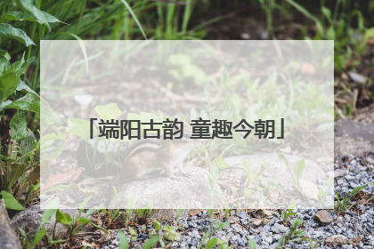 端阳古韵 童趣今朝