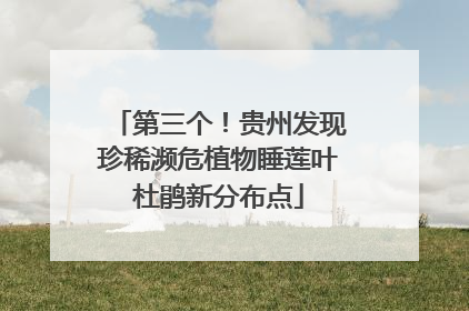 第三个！贵州发现珍稀濒危植物睡莲叶杜鹃新分布点