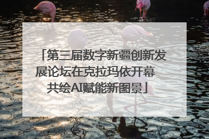 第三届数字新疆创新发展论坛在克拉玛依开幕 共绘AI赋能新图景