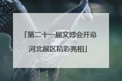 第二十一届文博会开幕 河北展区精彩亮相