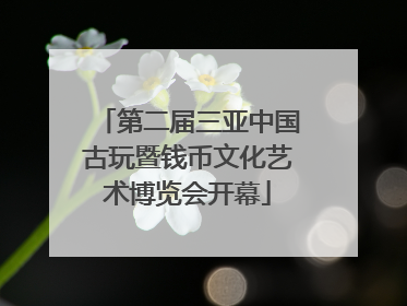 第二届三亚中国古玩暨钱币文化艺术博览会开幕