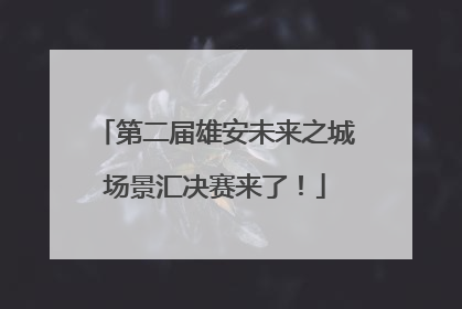 第二届雄安未来之城场景汇决赛来了！