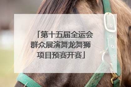 第十五届全运会群众展演舞龙舞狮项目预赛开赛