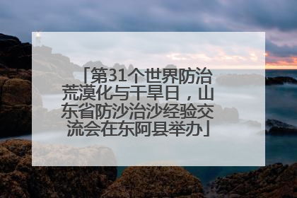 第31个世界防治荒漠化与干旱日，山东省防沙治沙经验交流会在东阿县举办