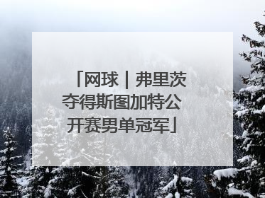 网球｜弗里茨夺得斯图加特公开赛男单冠军