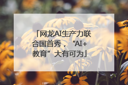 网龙AI生产力联合国首秀，“AI+教育”大有可为