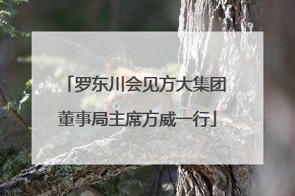 罗东川会见方大集团董事局主席方威一行