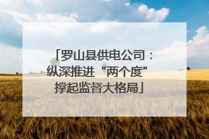 罗山县供电公司：纵深推进“两个度” 撑起监督大格局
