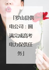 罗山县供电公司：圆满完成高考电力保供任务