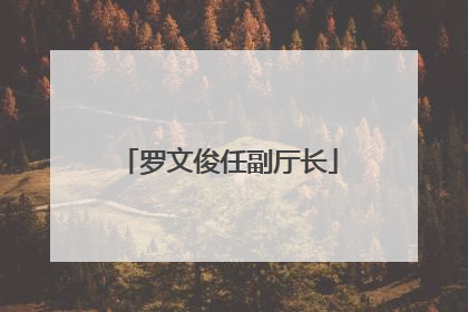 罗文俊任副厅长