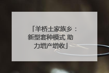 羊桥土家族乡：新型套种模式 助力增产增收