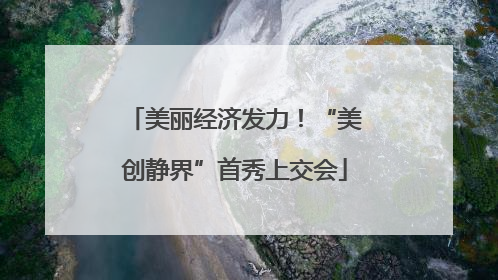 美丽经济发力！“美创静界”首秀上交会