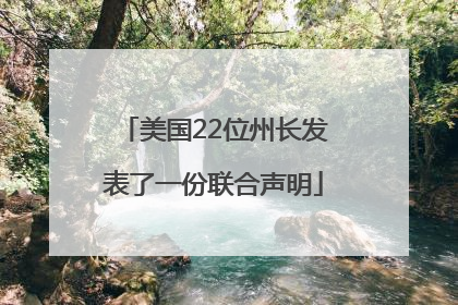 美国22位州长发表了一份联合声明