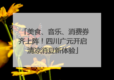 美食、音乐、消费券齐上阵！四川广元开启清凉消夏新体验