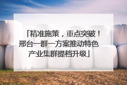 精准施策，重点突破！邢台一群一方案推动特色产业集群提档升级