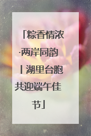 粽香情浓·两岸同韵丨湖里台胞共迎端午佳节