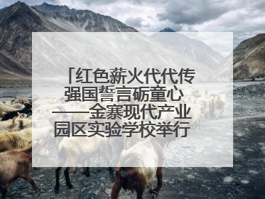 红色薪火代代传 强国誓言砺童心——金寨现代产业园区实验学校举行分批入队仪式