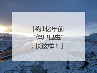 约1亿年前“僵尸昆虫”，长这样！