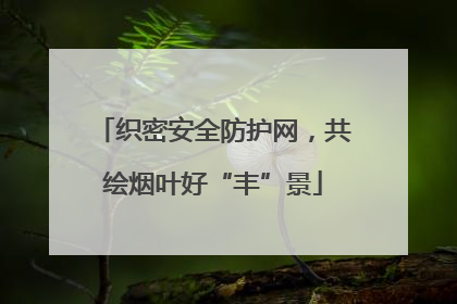 织密安全防护网，共绘烟叶好“丰”景