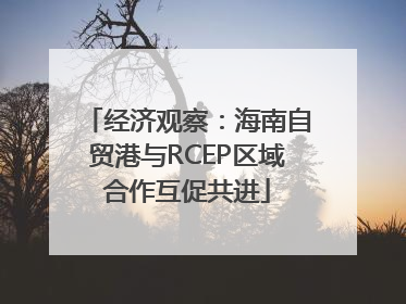 经济观察：海南自贸港与RCEP区域合作互促共进