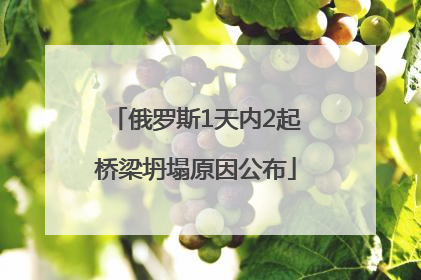俄罗斯1天内2起桥梁坍塌原因公布