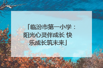 临汾市第一小学：阳光心灵伴成长 快乐成长筑未来