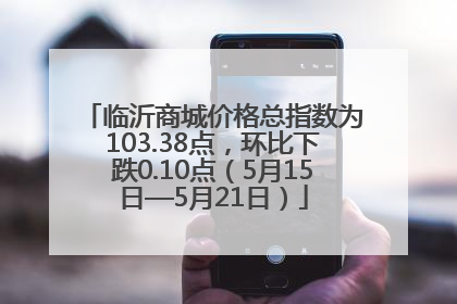 临沂商城价格总指数为103.38点，环比下跌0.10点（5月15日—5月21日）