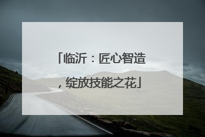 临沂：匠心智造，绽放技能之花