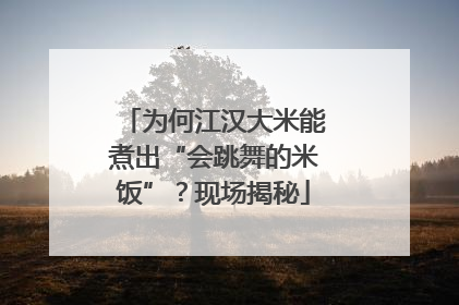 为何江汉大米能煮出“会跳舞的米饭”？现场揭秘