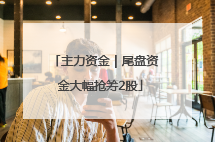 主力资金｜尾盘资金大幅抢筹2股