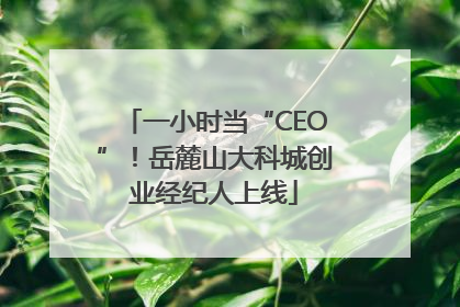 一小时当“CEO”！岳麓山大科城创业经纪人上线