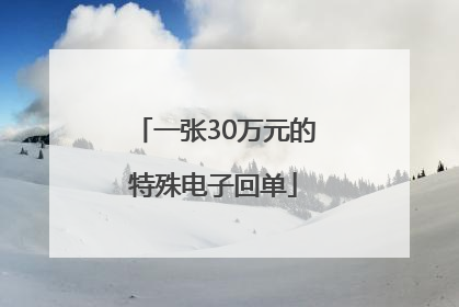 一张30万元的特殊电子回单