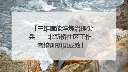 三维赋能淬炼治理尖兵——北新桥社区工作者培训初见成效