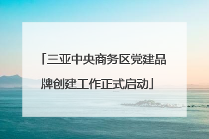 三亚中央商务区党建品牌创建工作正式启动