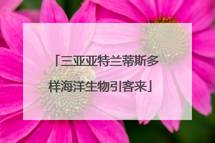 三亚亚特兰蒂斯多样海洋生物引客来