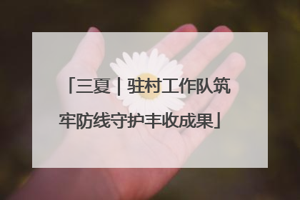 三夏｜驻村工作队筑牢防线守护丰收成果
