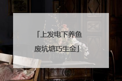 上发电下养鱼 废坑塘巧生金