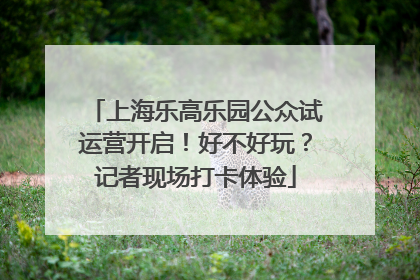上海乐高乐园公众试运营开启！好不好玩？记者现场打卡体验