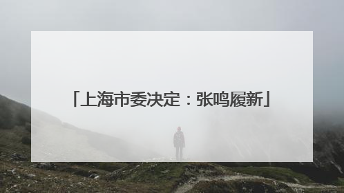 上海市委决定：张鸣履新