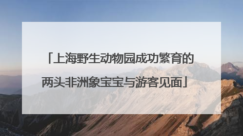 上海野生动物园成功繁育的两头非洲象宝宝与游客见面