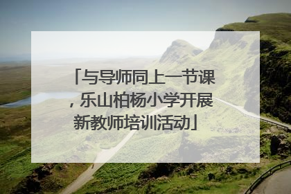 与导师同上一节课，乐山柏杨小学开展新教师培训活动