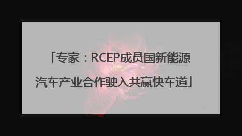 专家：RCEP成员国新能源汽车产业合作驶入共赢快车道
