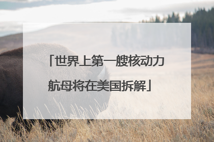 世界上第一艘核动力航母将在美国拆解