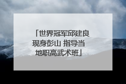 世界冠军邱建良现身彭山 指导当地职高武术班