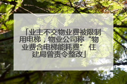 业主不交物业费被限制用电梯，物业公司称“物业费含电梯能耗费” 住建局曾责令整改